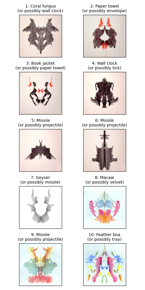 Results from Rorschach inkblots. Blots 5, 6, and 9 are identified as missiles, and blot 7 is possibly a missile as well.